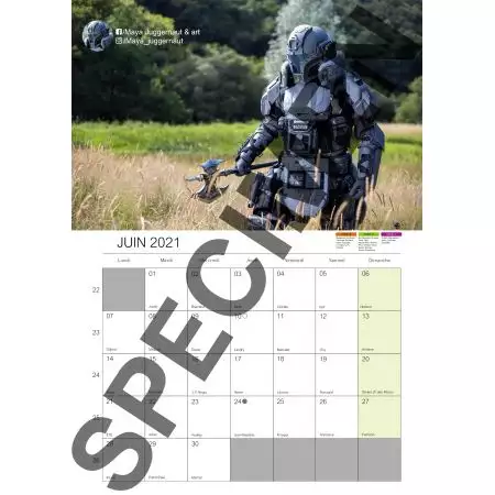 Calendrier Social Calendar 2021 Destockage-Games.com - Format Vertical