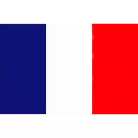 Drapeau Flag Europe - Pays France Français 150x90cm - Miltec