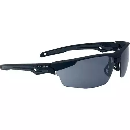 Lunettes de Protection Tryon BSSI Bollé - Fumé