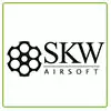 logo skyway