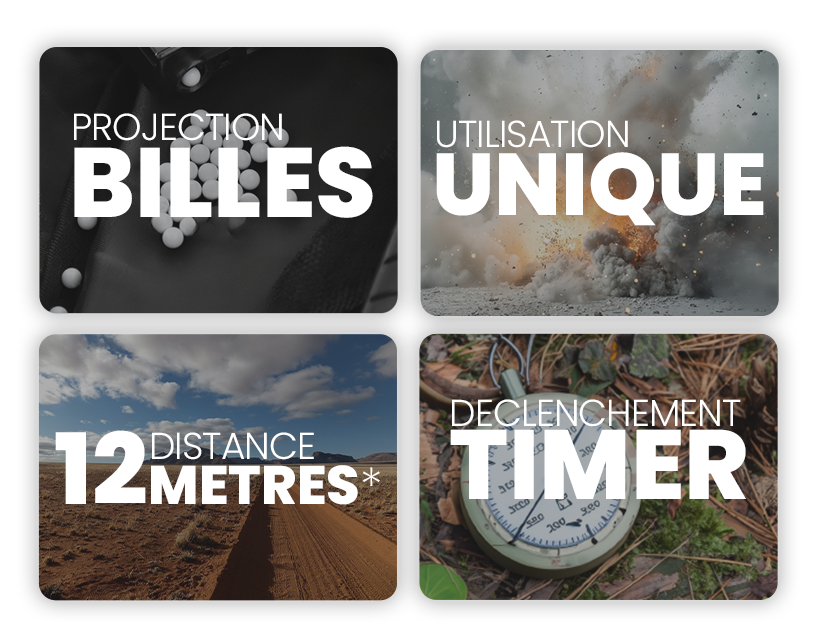 lt 741tag67 montage visuel descriptif png